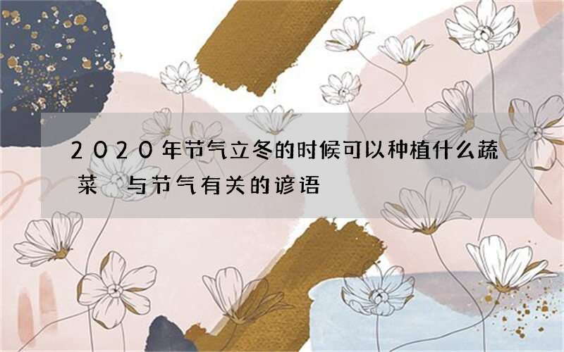 2020年节气立冬的时候可以种植什么蔬菜 与节气有关的谚语